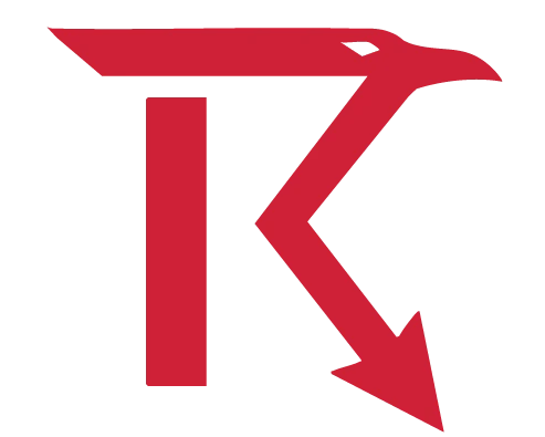 RAVIN logo